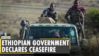 Ethiopia’s government declares unilateral ceasefire in Tigray | Latest World English News | WION