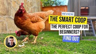 The Smart Coop Review: Anyone Can Raise Backyard Chickens | by @august_build