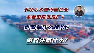 为什么大量中国企业来泰国投资设厂？泰国有什么优势？需要注意什么？｜泰国黎叔说（第187期）