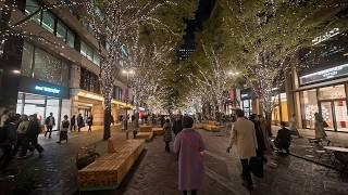 Tokyo Station Christmas Lights 2024/2025・4K HDR