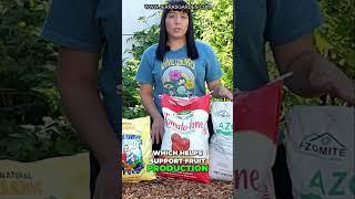 Grow BETTER Tomatoes: Fertilizer & Soil Secrets