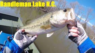 Bass Fishing at Randleman Lake NC.  BIG BASS!!!