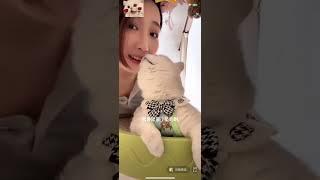 今天的老芬是个乖宝宝喵喵 #cat #芬儿头是猫不是猪 #芬儿头是猫不是猪 #cute #萌宠 #萌宠 #pets #宠物猫 #宠物猫 #funny #cutecat #搞笑 #搞笑 #宠物