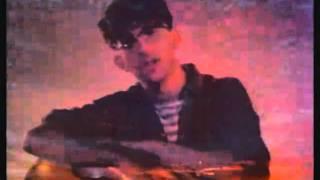 The Lightning Seeds - Pure