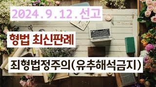 2024도5033 '마약류 사범'의 의미가 문제된 사건[중요도: 0.5/5]