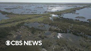 Massive project works to restore Florida's Everglades