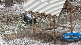 First Snow Of The Season In The Appalachian Mountains