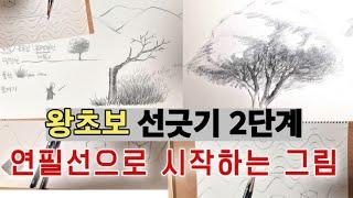 왕초보 선연습ㅣ나무그리기ㅣ선긋기 2단계ㅣ미술기초 ㅣ기초소묘