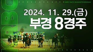 (부산) 2024.11.29 8경주