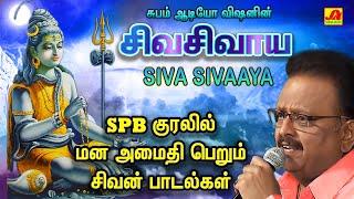 பௌர்ணமி சிவ சிவ சங்கரா  சிவபெருமான்  பக்தி பாடல்கள் | Subamaudiovision #spbsivansongs #spbsong #spb