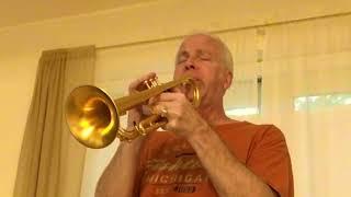 'Jesu - Joy of Man's Desiring' - trumpet noodle