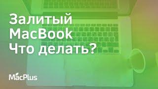 Залили Macbook или iPhone? Спасти Apple после утопления!