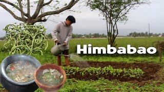 Farm and cook in the Philippines | Dineng deng inabraw alukon | Himbabao | Buhay Probinsya