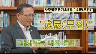 일주론기초5강 무진 내사주 내가 본다 일주론 "무진" 일주의 특징과 필요를 중심으로한 해석입니다 #명리학 #사주 #사주팔자 #운세 #60갑자