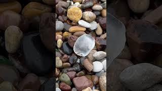 Clear sea glass. #beach #clear #SeaGlass