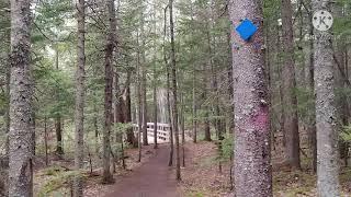 UnEdited Nature Walk for Relaxation. Moncton's Irishtown Nature Park.