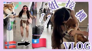 【柴犬呆萌】二姐從挪威回來了 狗狗機場接機vlog ️