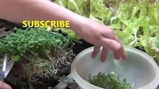 New Garden Channel Trailer Intro - Diane Mumm Garden Videos