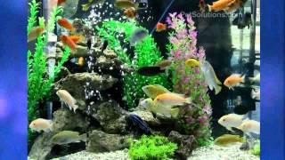 PetSolutions: Aquatop Large Artificial Aquarium Plants