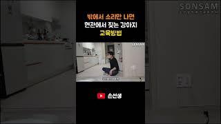 밖에서 소리만 나면 짖는 강아지 교육방법
