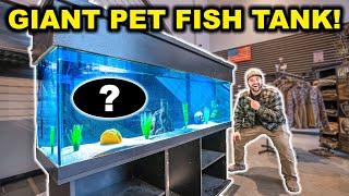 Buying a GIANT FISH TANK off FACEBOOK MARKETPLACE!!! (Bad Idea?)