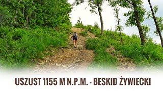 Oszast 1155 m n.p.m. - Beskid Żywiecki