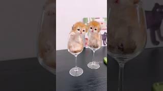 Time to Pet the Kitten – Instant Joy! #cute   #cat #kitten #meow  #funny