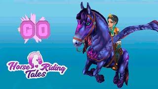 Гонки пегаса и сундуки  разговорное видео  Horse Riding Tales