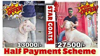 Half Payment Scheme for Goats and Sheep at STAR GOATS FARM Asif STD 88798 09944 Mumbra Mumbai