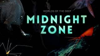 Into the Midnight Zone: Secrets of the Ocean Void