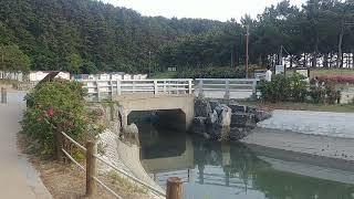 부산 다대포 해솔공원 Busan Dadaepo Haesol Park