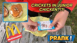 Nasty Crickets in JR CHICKEN Prank!