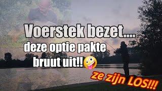 Voerstek bezet? Deze optie pakte er bruut uit!! Karpers zijn los!!