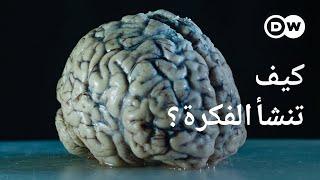 وثائقي | قوة الأفكار - لغز كبير يواجه العلم | وثائقية دي دبليو