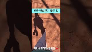 #자연에빠진여자 #모두의어싱 #맨발걷기 #어싱 #황톳길 #힐링걷기 #earthing #shorts