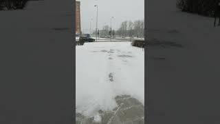 Метель #shorts #метель #снег #зима #subscribe #trending #youtubchannel  #winter2022 #klaipeda