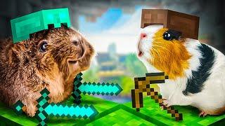 ПРАНК над Бузей в тюрьме МАЙНКРАФТ | MINECRAFT ЧЕЛЛЕНДЖ от МОРСКИХ СВИНОК Бузи и Кузи