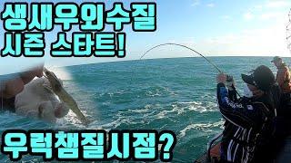외수질 시즌시작! 우럭부터 알아볼까나?