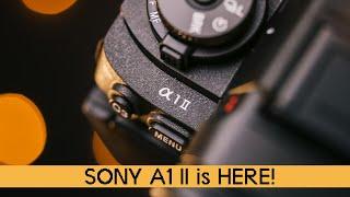 Sony A1II - First Impressions