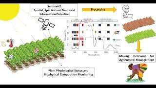 Tools & Advancement in Precision Nutrient Management