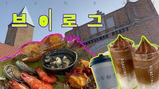 life in korea vlog   남해 여행 vlog | 회먹고, 독일 마을, 백년유자, 목화휴게소 로또 | 진주 로스팅웨어 카페