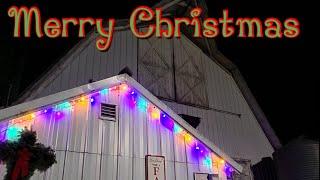 Bedding Cows and Heifers/Merry Christmas from Trinity Dairy!