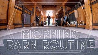 SUMMER MORNING BARN ROUTINE & Feeding the Horses | Day in the Life + Barn Chores EQUESTRIAN VLOG