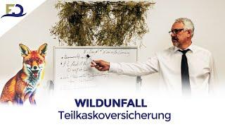 Wildunfall - Teilkaskoversicherung