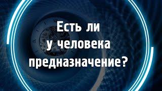 Есть ли у человека предназначение?