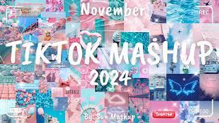 Tiktok Mashup November 2024 (Not Clean)