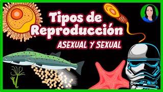 Reproducción | asexual y sexual | Biología