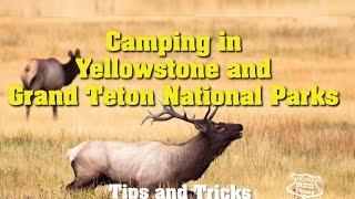 Yellowstone Camping - Campgrounds and RV Parks