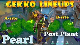 Top 15 Pearl Gekko Post Plant Lineups | Gekko Lineups Pearl | Gekko Mosh Pit (Molly) Pearl