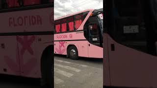 Bus spotting gv florida zhongtong bus #bus #buspotting #reels #travel #gvf #video